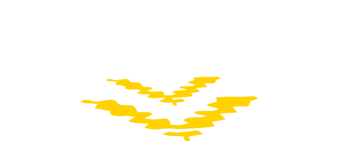 View All FAQ's